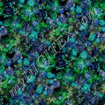 Colour:F