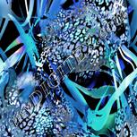 Colour:F