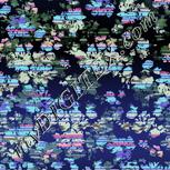 Colour:F