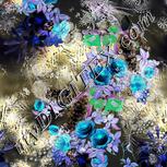 Colour:F