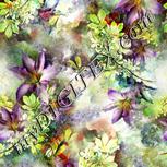 Colour:A