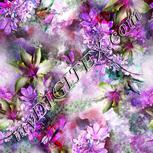 Colour:B