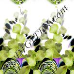 Colour:D