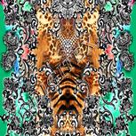 Colour:A
