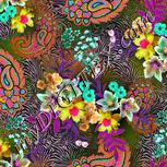 Colour:B