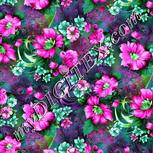 Colour:B