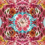 Colour:A