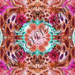 Colour:B