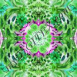 Colour:C