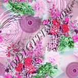 Colour:B