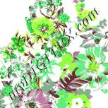 Colour:D