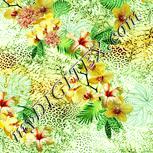 Colour:K