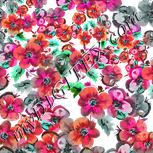 Colour:B