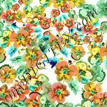 Colour:K