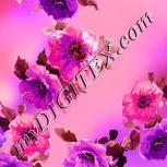 Colour:C