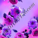 Colour:D