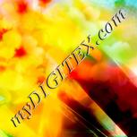 Colour:F