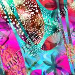 Colour:C