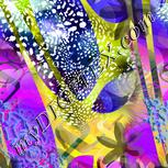 Colour:D