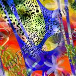 Colour:F