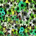 Colour:B
