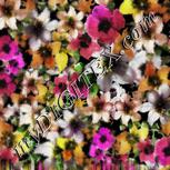Colour:C