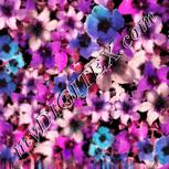 Colour:J