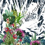 Colour:A