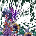 Colour:B