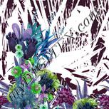 Colour:C