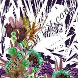 Colour:D