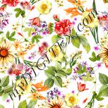 Colour:A