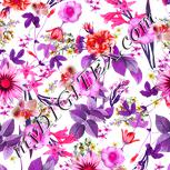 Colour:B