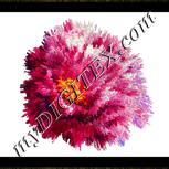 Colour:A
