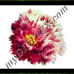 Colour:K