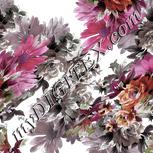 Colour:B