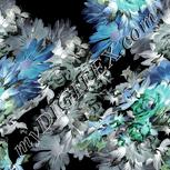 Colour:F