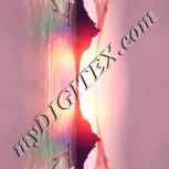 Colour:J
