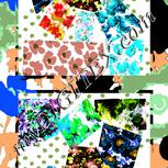 Colour:F