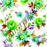 Colour:D