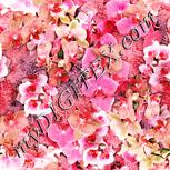 Colour:J