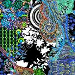 Colour:F