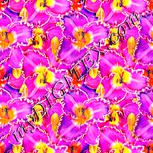Colour:J
