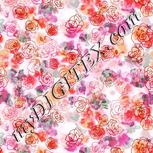 Colour:B