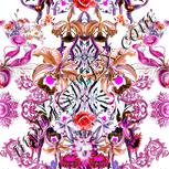 Colour:B