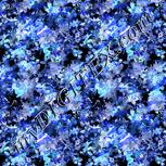 Colour:F