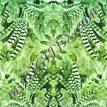 Colour:K