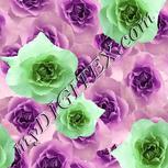 Colour:C
