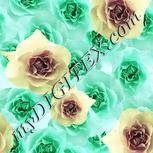Colour:K