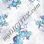 Colour:F